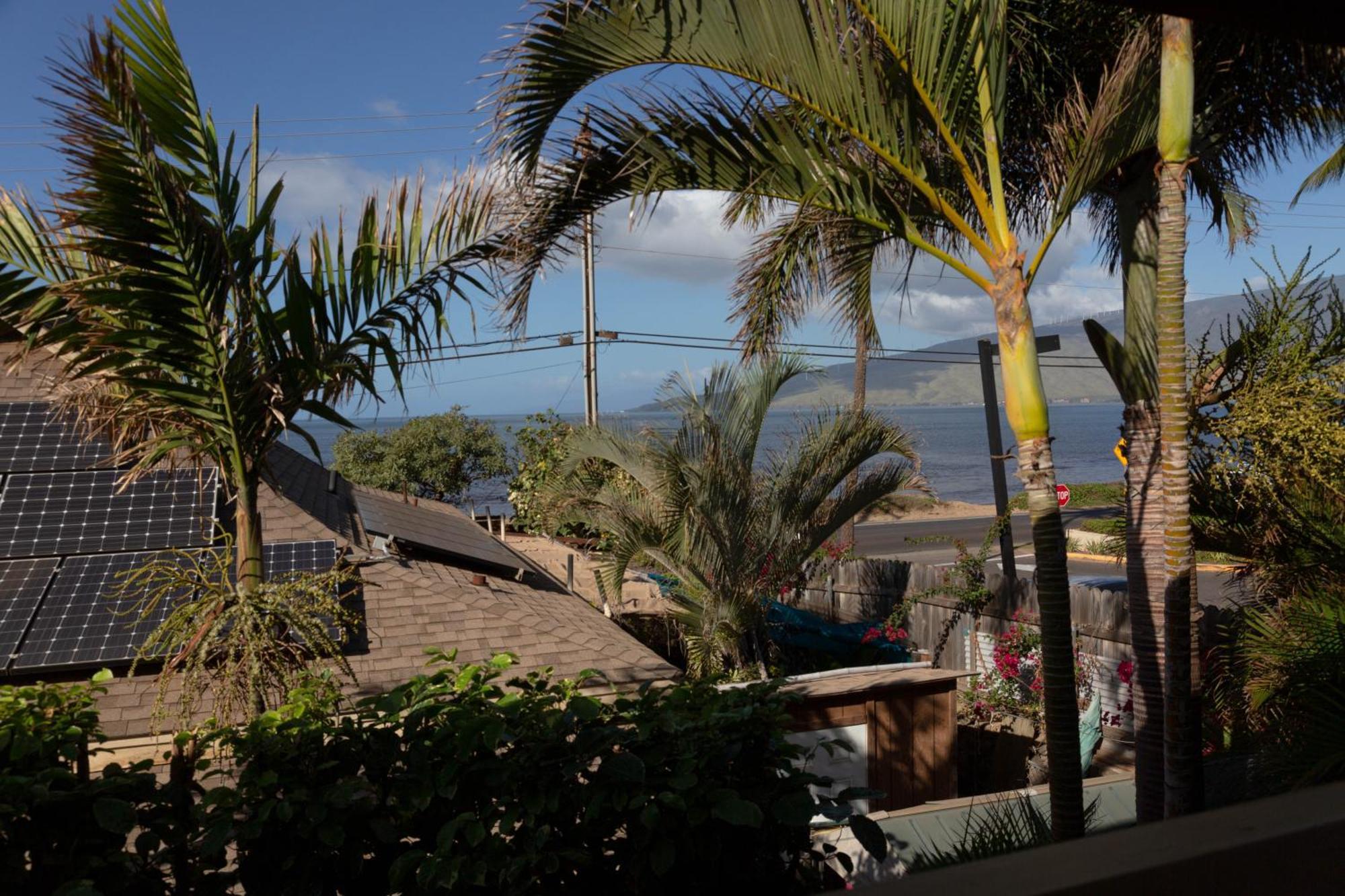 Apartment Orchid In South Maui, Across From The Beach, 1 Bedroom Sleeps 4